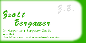 zsolt bergauer business card